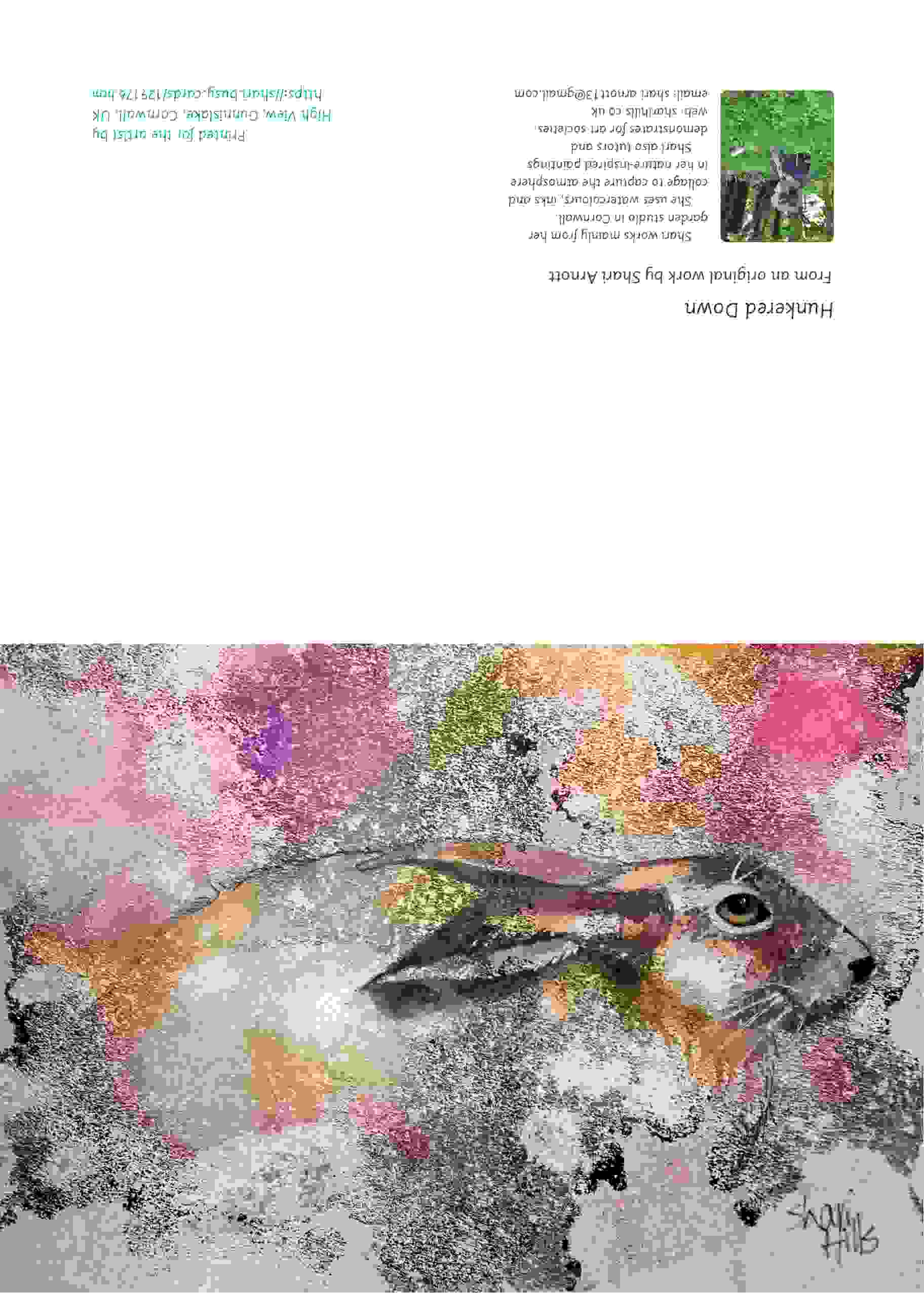 Shari Arnott card of a hare lying flat against a colourful background mosaic