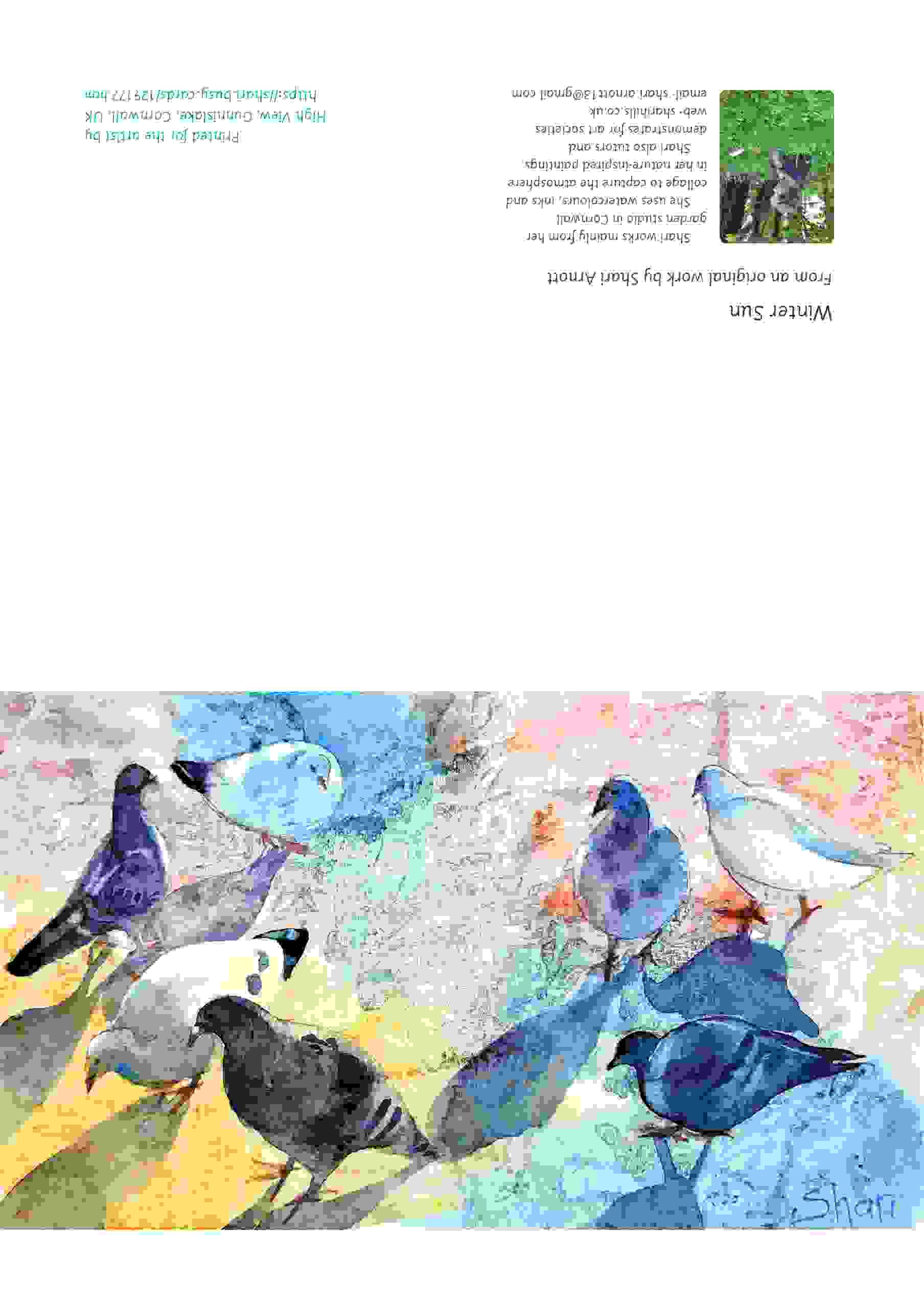 Greetings card by Shari Arnott of pigeons feeding on a sunlit payement
